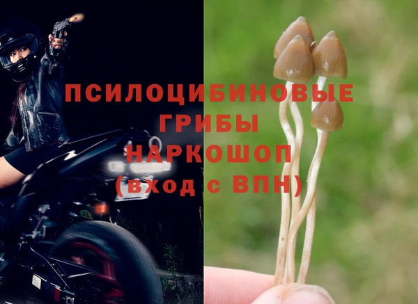 гашишное масло Алзамай